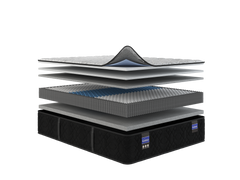 Back Supporter Amelia Firm