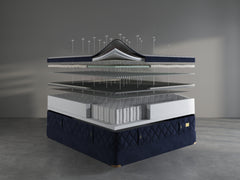 Chattam & Wells Palermo Firm