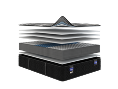 Back Supporter Francesca Medium