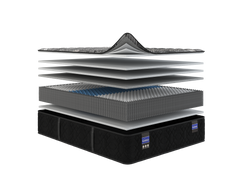 Back Supporter Francesca Firm