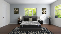 Back Supporter Francesca Medium