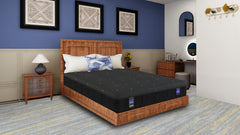 Back Supporter Grace Plush