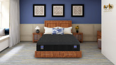 Back Supporter Grace Plush