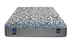 Grand Hybrid Platinum Medium