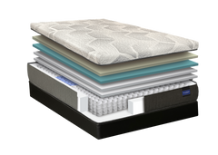 Grand Hybrid Silver Firm