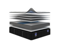 Back Supporter Hannah Medium