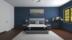 Back Supporter Hannah Firm