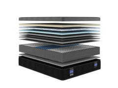 Back Supporter Makayla Firm