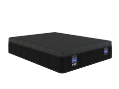 Back Supporter Makayla Firm